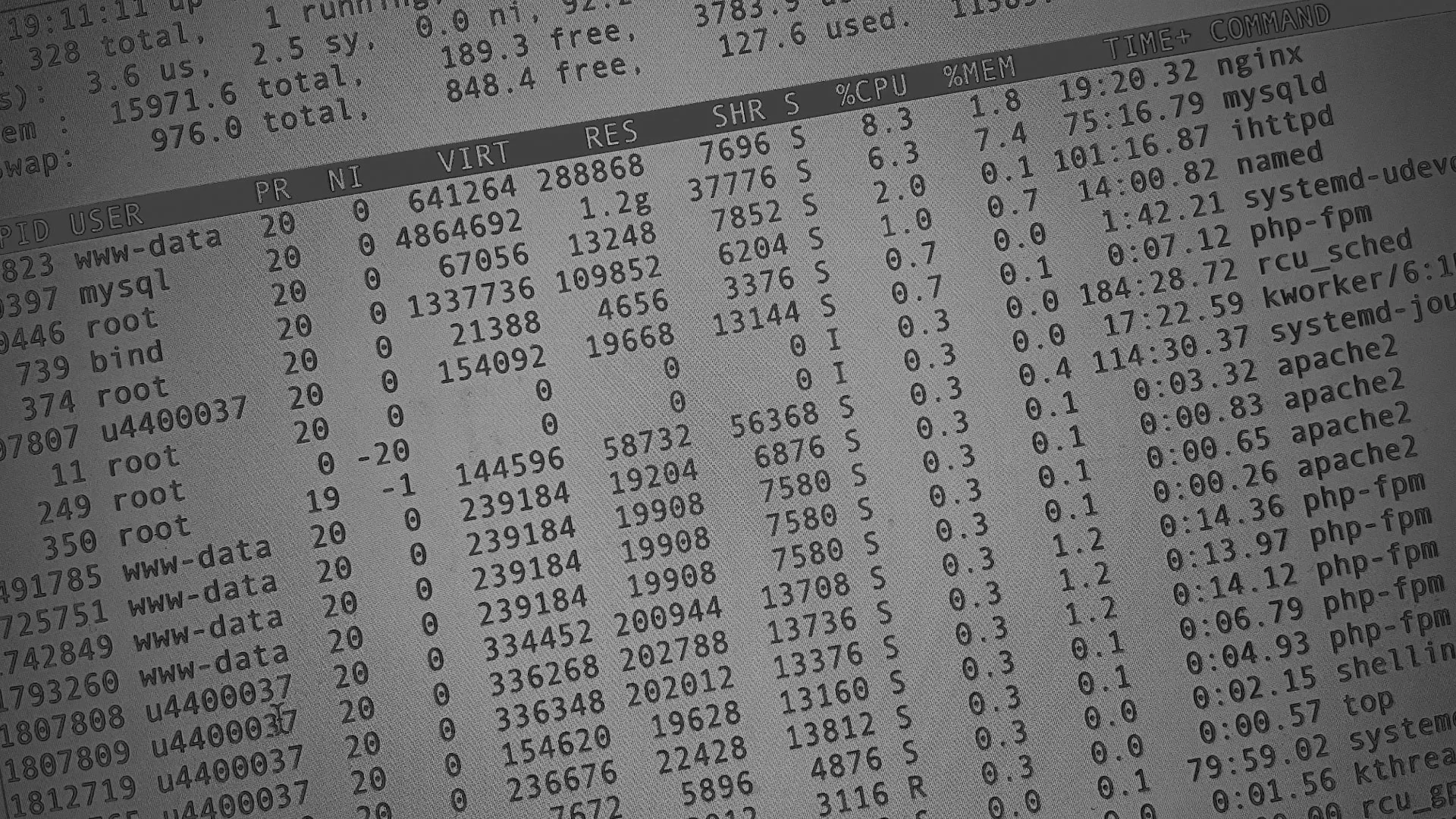 Настройка сервера в Белогорске