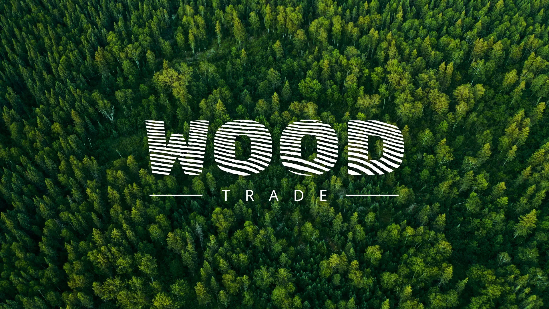 Разработка интернет-магазина компании «Wood Trade» в Белогорске