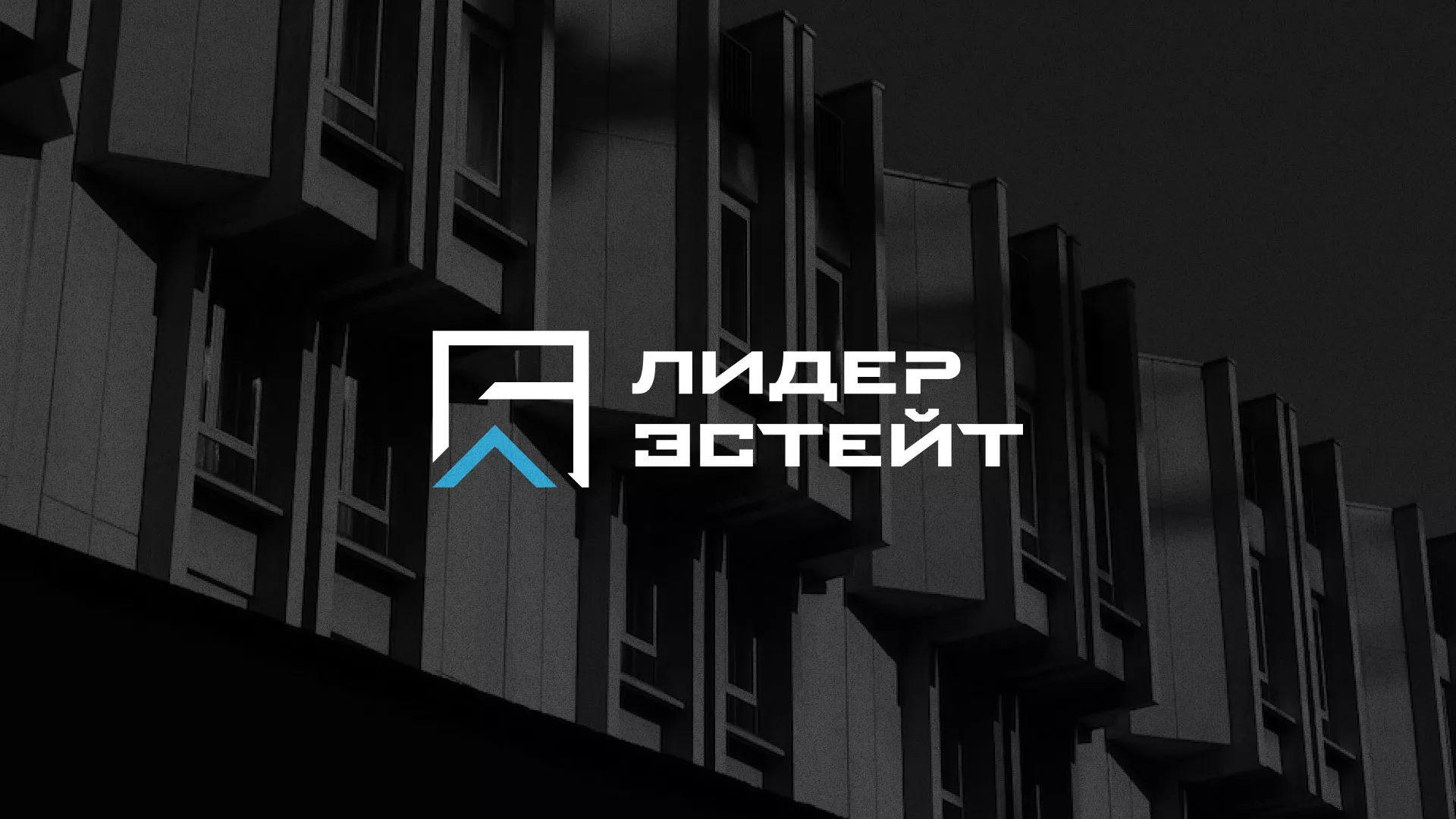 Разработка логотипа агентства недвижимости «Лидер Эстейт» в Белогорске