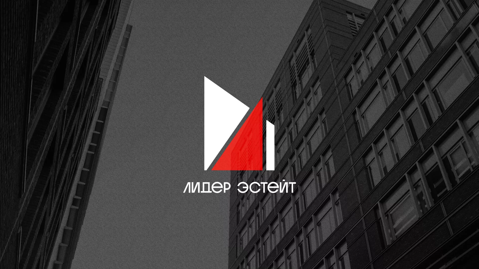 Сделали логотип для агентства недвижимости «Лидер Эстейт» в Белогорске